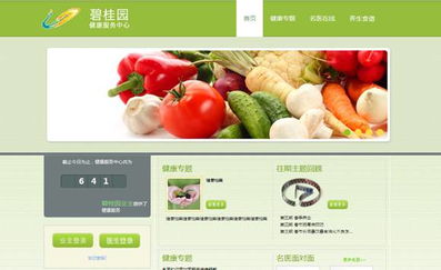 碧日公司研发高新软件获政府退税奖励，IC卡一卡通系统引领行业创新